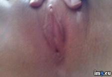 Tags: amateur, porn, wife (Pict. in exposed slut wife)
