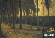 Tags: edge, wood, art, gogh, painting, paintings, van, vincent, vincentvangogh (Pict. in Vincent van Gogh - 1881-83 Earliest Paintings)