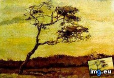 Tags: wind, beaten, tree, art, gogh, painting, paintings, van, vincent, vincentvangogh (Pict. in Vincent van Gogh - 1881-83 Earliest Paintings)