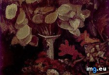 Tags: vase, honesty, art, gogh, painting, paintings, van, vincent, architecture, antwerp (Pict. in Vincent van Gogh Paintings - 1883-86 Nuenen and Antwerp)