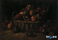 Tags: basket, apples, version, art, gogh, painting, paintings, van, vincent, architecture, antwerp (Pict. in Vincent van Gogh Paintings - 1883-86 Nuenen and Antwerp)