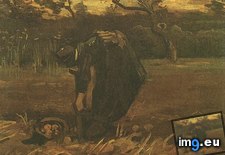Tags: peasant, woman, digging, potatoes, art, gogh, painting, paintings, van, vincent, architecture, antwerp (Pict. in Vincent van Gogh Paintings - 1883-86 Nuenen and Antwerp)