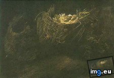 Tags: life, birds, nests, version, art, gogh, painting, paintings, van, vincent, architecture, antwerp (Pict. in Vincent van Gogh Paintings - 1883-86 Nuenen and Antwerp)