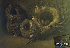 Tags: life, birds, nests, art, gogh, painting, paintings, van, vincent, architecture, antwerp (Pict. in Vincent van Gogh Paintings - 1883-86 Nuenen and Antwerp)