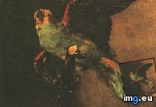 Tags: green, parrot, art, gogh, painting, paintings, van, vincent, vincentvangogh, paris (Pict. in Vincent van Gogh Paintings - 1886-88 Paris)