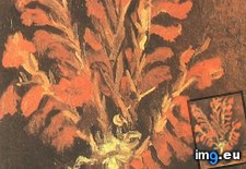 Tags: vase, red, gladioli, version, art, gogh, painting, paintings, van, vincent, vincentvangogh, paris (Pict. in Vincent van Gogh Paintings - 1886-88 Paris)