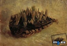 Tags: life, basket, crocuses, art, gogh, painting, paintings, van, vincent, vincentvangogh, paris (Pict. in Vincent van Gogh Paintings - 1886-88 Paris)