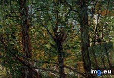 Tags: trees, undergrowth, art, gogh, painting, paintings, van, vincent, vincentvangogh, paris (Pict. in Vincent van Gogh Paintings - 1886-88 Paris)