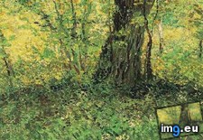 Tags: undergrowth, version, art, gogh, painting, paintings, van, vincent, vincentvangogh, paris (Pict. in Vincent van Gogh Paintings - 1886-88 Paris)