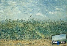 Tags: wheat, field, lark, art, gogh, painting, paintings, van, vincent, vincentvangogh, paris (Pict. in Vincent van Gogh Paintings - 1886-88 Paris)