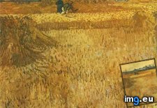 Tags: arles, wheat, fields, art, gogh, painting, paintings, van, vincent (Pict. in Vincent van Gogh Paintings - 1888-89 Arles)