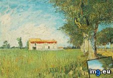 Tags: farmhouse, wheat, field, art, gogh, painting, paintings, van, vincent (Pict. in Vincent van Gogh Paintings - 1888-89 Arles)