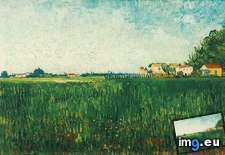 Tags: farmhouses, wheat, field, arles, art, gogh, painting, paintings, van, vincent (Pict. in Vincent van Gogh Paintings - 1888-89 Arles)