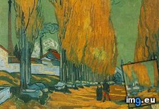 Tags: les, alyscamps, art, gogh, painting, paintings, van, vincent (Pict. in Vincent van Gogh Paintings - 1888-89 Arles)