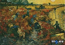 Tags: red, vineyard, art, gogh, painting, paintings, van, vincent (Pict. in Vincent van Gogh Paintings - 1888-89 Arles)