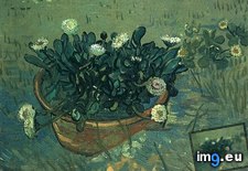 Tags: life, bowl, daisies, art, gogh, painting, paintings, van, vincent (Pict. in Vincent van Gogh Paintings - 1888-89 Arles)