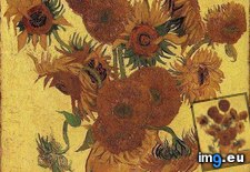 Tags: life, vase, fifteen, sunflowers, art, gogh, painting, paintings, van, vincent (Pict. in Vincent van Gogh Paintings - 1888-89 Arles)