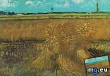 Tags: wheat, field, sheaves, art, gogh, painting, paintings, van, vincent (Pict. in Vincent van Gogh Paintings - 1888-89 Arles)