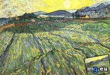 Tags: enclosed, field, rising, sun (Pict. in Vincent van Gogh Paintings - 1889-90 Saint-Rémy)
