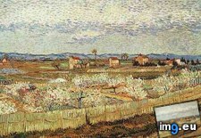 Tags: crau, peach, trees, blossom, art, gogh, painting, paintings, van, vincent (Pict. in Vincent van Gogh Paintings - 1888-89 Arles)