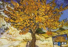 Tags: tree, art, gogh, painting, paintings, van, vincent (Pict. in Vincent van Gogh Paintings - 1889-90 Saint-Rémy)