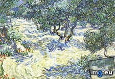 Tags: grove, olive (Pict. in Vincent van Gogh Paintings - 1889-90 Saint-Rémy)