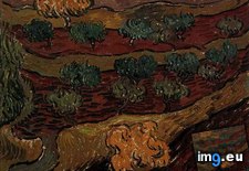 Tags: olive, trees, slope, hill, art, gogh, painting, paintings, van, vincent (Pict. in Vincent van Gogh Paintings - 1889-90 Saint-Rémy)