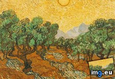 Tags: olive, sky, sun, trees, yellow (Pict. in Vincent van Gogh Paintings - 1889-90 Saint-Rémy)
