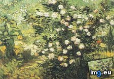 Tags: blossom, art, gogh, painting, paintings, van, vincent (Pict. in Vincent van Gogh Paintings - 1888-89 Arles)