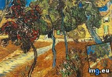 Tags: trees, garden, saint, paul, hospital, version, art, gogh, painting, paintings, van, vincent (Pict. in Vincent van Gogh Paintings - 1889-90 Saint-Rémy)