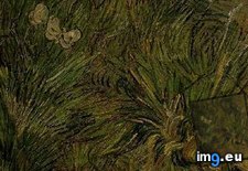 Tags: two, white, butterflies, art, gogh, painting, paintings, van, vincent (Pict. in Vincent van Gogh Paintings - 1888-89 Arles)