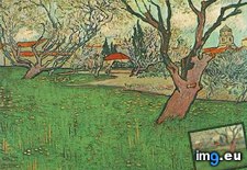 Tags: arles, trees, blossom, art, gogh, painting, paintings, van, vincent (Pict. in Vincent van Gogh Paintings - 1888-89 Arles)