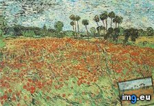 Tags: field, poppies, art, gogh, painting, paintings, van, vincent (Pict. in Vincent van Gogh Paintings - 1890 Auvers-sur-Oise)