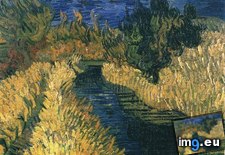 Tags: little, stream, art, gogh, painting, paintings, van, vincent (Pict. in Vincent van Gogh Paintings - 1890 Auvers-sur-Oise)