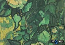 Tags: beetle, roses (Pict. in Vincent van Gogh Paintings - 1889-90 Saint-Rémy)