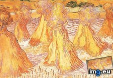 Tags: sheaves, wheat, art, gogh, painting, paintings, van, vincent (Pict. in Vincent van Gogh Paintings - 1890 Auvers-sur-Oise)