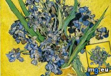Tags: life, vase, irises, yellow, art, gogh, painting, paintings, van, vincent (Pict. in Vincent van Gogh Paintings - 1889-90 Saint-Rémy)