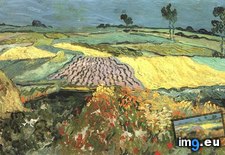 Tags: wheat, fields, auvers, art, gogh, painting, paintings, van, vincent (Pict. in Vincent van Gogh Paintings - 1890 Auvers-sur-Oise)