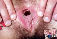 2548 (86) - 56 KB Tags: 625x531 (Pict. in Pussy)