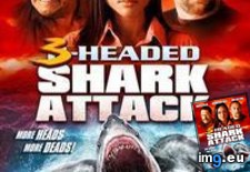 Tags: attack, dvdrip, film, french, headed, movie, poster, shark (Pict. in ghbbhiuiju)