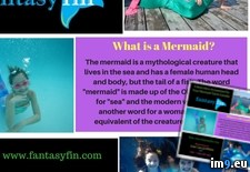 4 Must-Have Accessories For Your Mermaid Tail In Canada! - 164 KB Tags: costume, kids, mermaid (Pict. in Instant Upload)