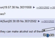 Tags: 4chan, anon, discovers, famine, irish, potato (Pict. in My r/4CHAN favs)