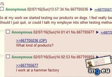 Tags: 4chan, animal, anon, bad, feels, testing, workplace (Pict. in My r/4CHAN favs)