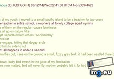 Tags: 4chan, animal, anon, endangered, finds (Pict. in My r/4CHAN favs)