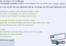 Tags: 4chan, anon, cat, fuck, give (Pict. in My r/4CHAN favs)