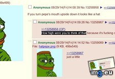 Tags: 4chan, anon, discovery, frog, groundbreaking, pepe (Pict. in My r/4CHAN favs)