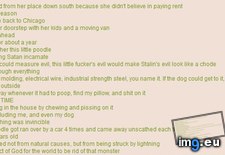Tags: 4chan, anon, aunt, demonic, poodle (Pict. in My r/4CHAN favs)