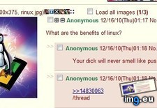 Tags: 4chan, enefits, linux (Pict. in My r/4CHAN favs)