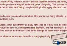 Tags: 4chan, explains, feminism (Pict. in My r/4CHAN favs)