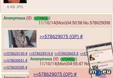Tags: 4chan, tard, understand (Pict. in My r/4CHAN favs)